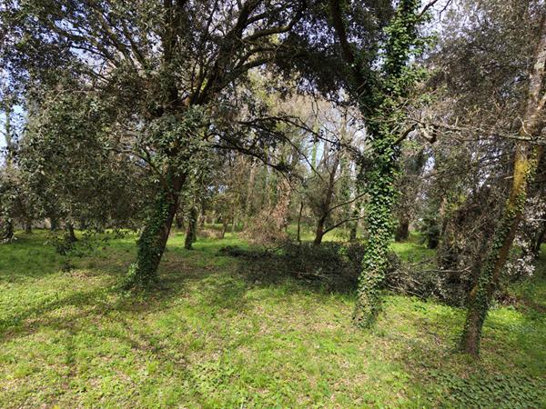 Terrain Meschers Sur Gironde 5674 m2 Meschers sur gironde