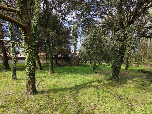 Terrain Meschers Sur Gironde 5674 m2 Meschers sur gironde