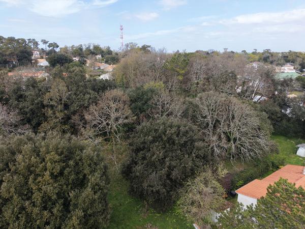 Terrain Meschers Sur Gironde 5674 m2 Meschers sur gironde