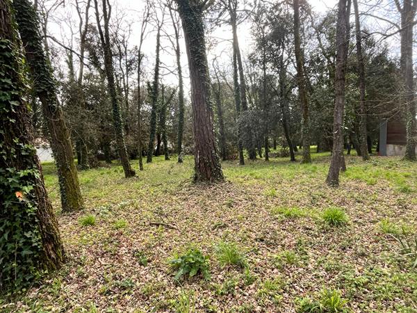 Terrain Meschers Sur Gironde 5674 m2 Meschers sur gironde