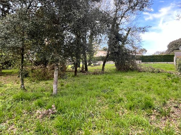 Terrain Meschers Sur Gironde 5674 m2 Meschers sur gironde