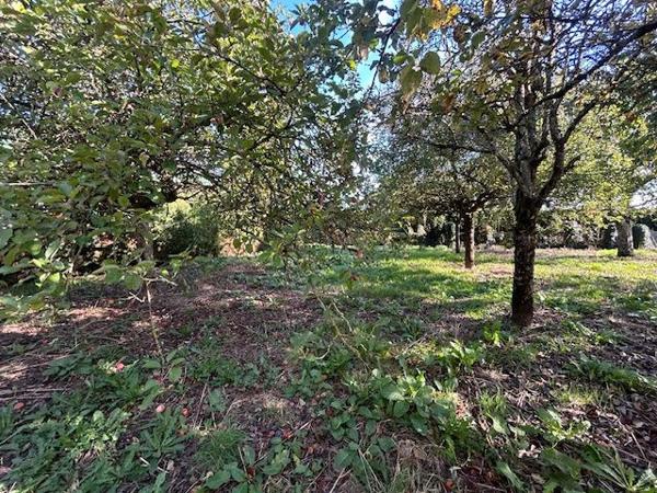 Maison 6 pièces - 124 m²