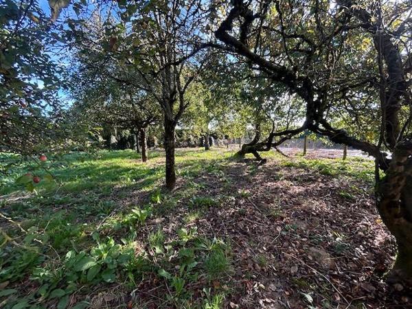 Maison 6 pièces - 124 m²