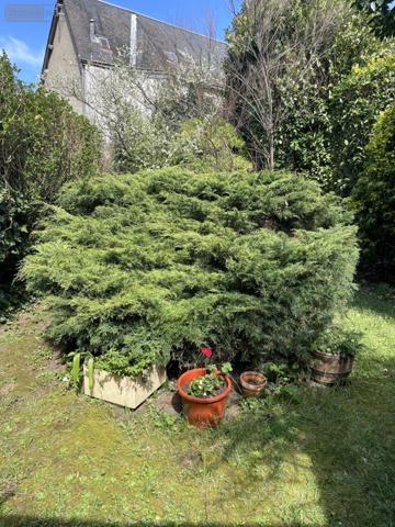 Maison à vendre à Le Mans dans la Sarthe (72000), ref : 72009-1361   
Centre