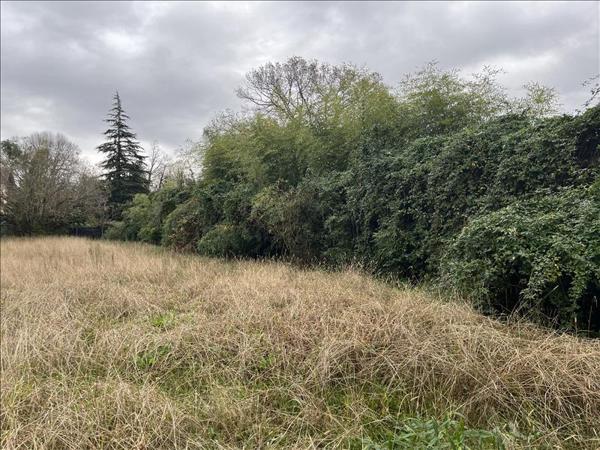 Terrain à vendre |  Dax |  990 m²