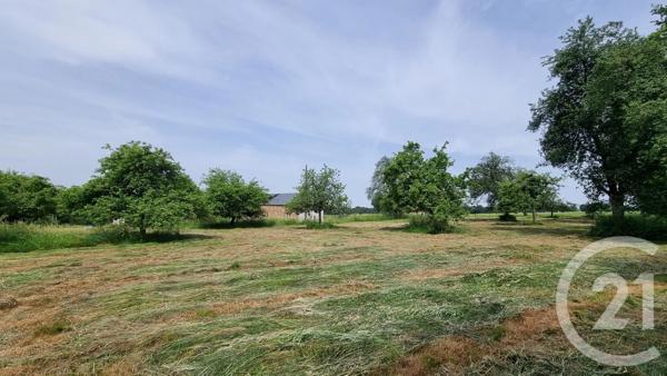 Maison à vendre  7 pièces - 138 m 2   LONLAY L ABBAYE  - 61