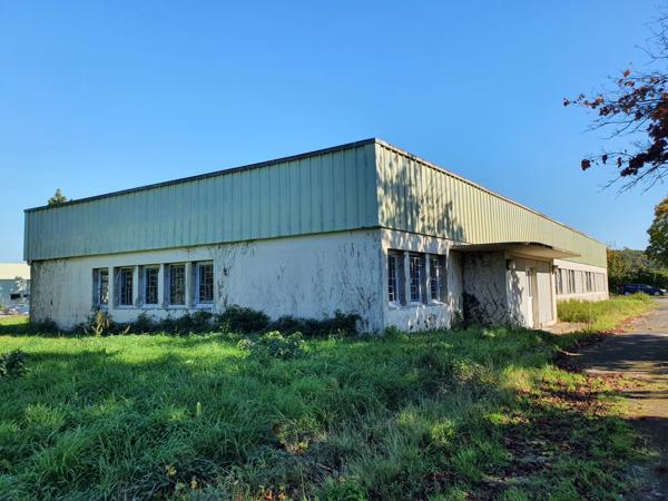 Iteuil (86240) Entrepôt industriel 566 m2