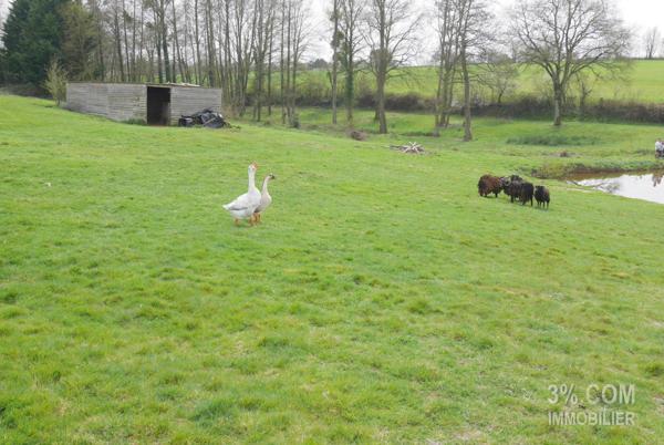 MAISON PLAIN-PIED 8 PIÈCES 196 m², GARAGE, TERRASSE, ÉTANG, PISCINE HORS SOL sur TERRAIN 16 295 m² Aizenay (85190)