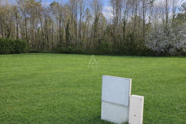 TERRAIN VIABILISE 695m2