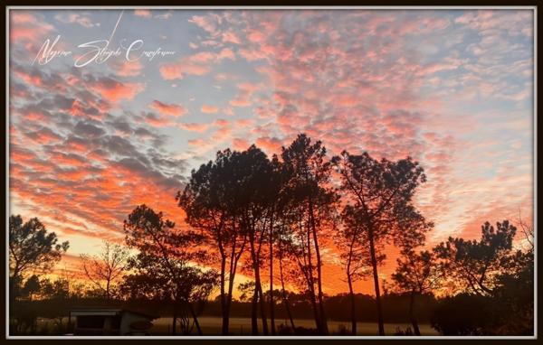 Maison Landaise de charme de 140 m² à vendre 6 pièces LINXE (40) au calme avec piscine.