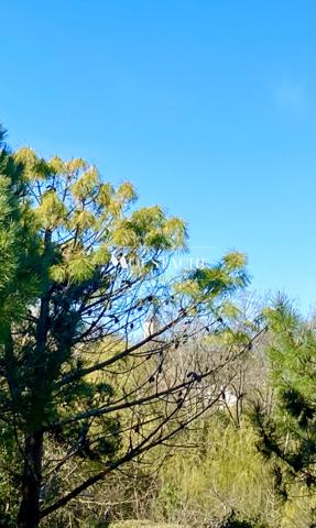 VILLA D'EXCEPTION AVEC PISCINE - A 700 mètres DE LA PLAGE -