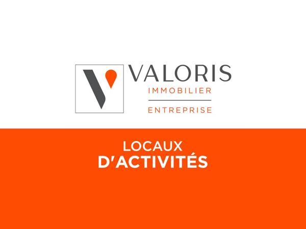 SASSENAGE-ZONE DU SORNIN-LOCAL D'ACTIVITE-LOCATION