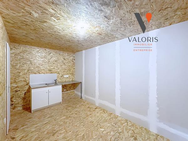 SASSENAGE-ZONE DU SORNIN-LOCAL D'ACTIVITE-LOCATION