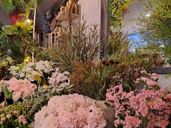 Fonds De Commerce - 50 m² Exclusivité efficity