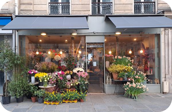 Fonds De Commerce - 50 m² Exclusivité efficity