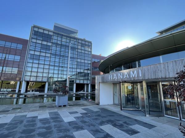 Bureaux lumineux à louer - Nombreux services - Berges de Seine