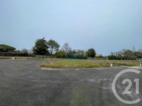 Terrain à vendre  539 m 2   OLONNE SUR MER  - 85