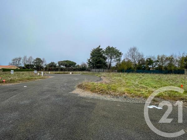 Terrain à vendre  539 m 2   OLONNE SUR MER  - 85