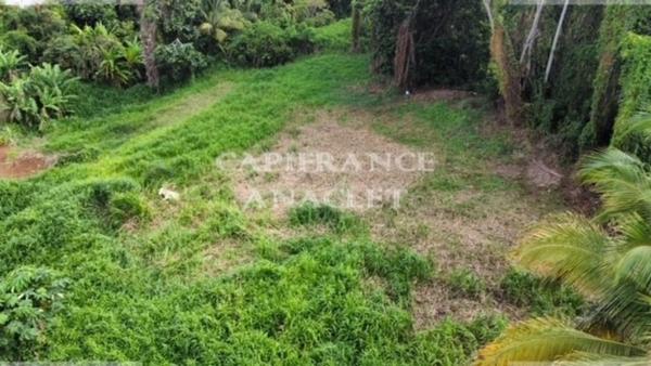 Dpt Martinique (972), à vendre LE LAMENTIN terrain de 2500 m² vue mer