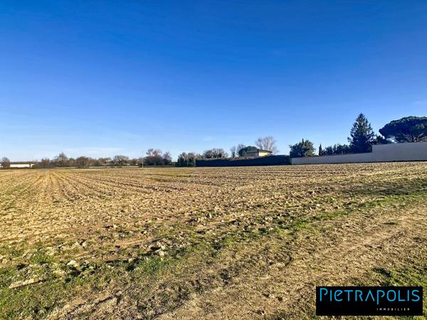 Terrain Plat Constructible