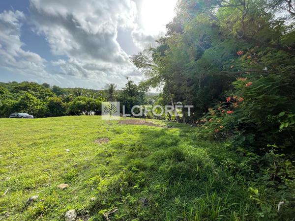 Achat terrain Sainte-Anne - 978 m² - 220 000 €