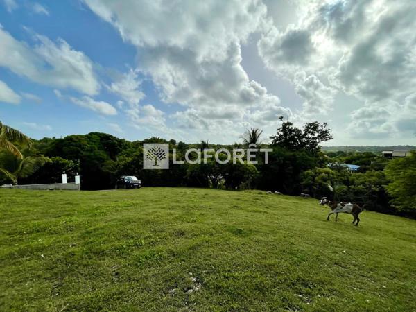 Achat terrain Sainte-Anne - 978 m² - 220 000 €