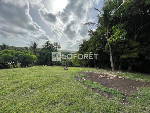 Achat terrain Sainte-Anne - 978 m² - 220 000 €