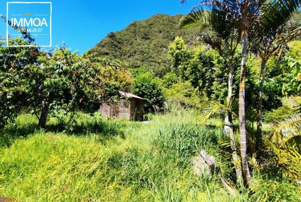 Charmante maison F4 entièrement meublée 97431 la plaine des palmistes