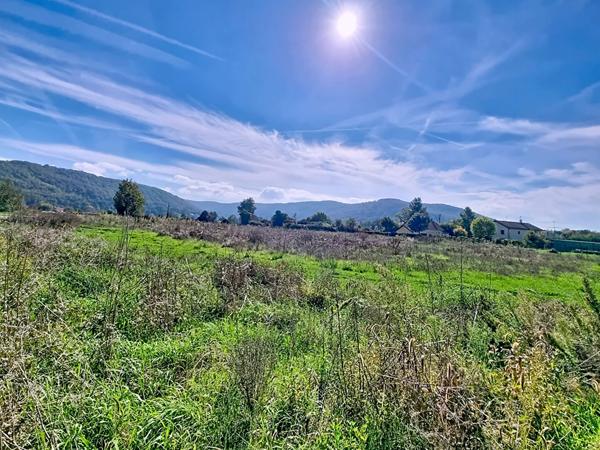 Exclusif ! Rare à la vente : Terrain viabilisé de 700 m² À VILLEMOIRIEU
