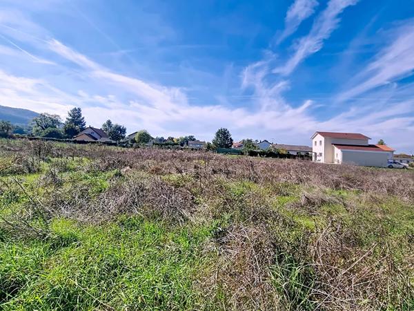 Exclusif ! Rare à la vente : Terrain viabilisé de 700 m² À VILLEMOIRIEU