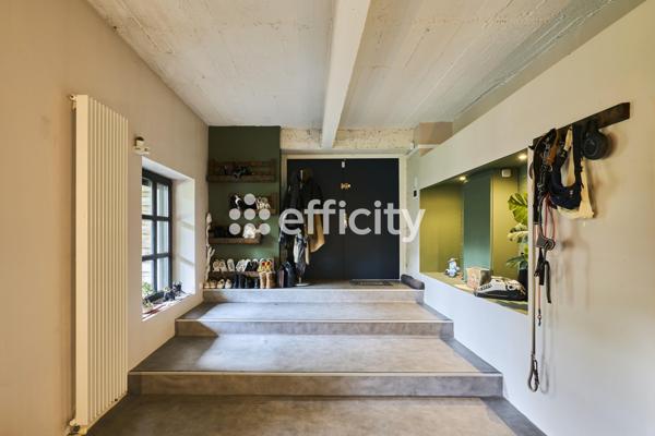 Loft 4 pièces - 243 m² Exclusivité efficity