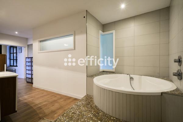 Loft 4 pièces - 243 m² Exclusivité efficity