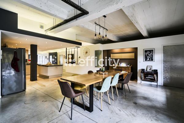 Loft 4 pièces - 243 m² Exclusivité efficity