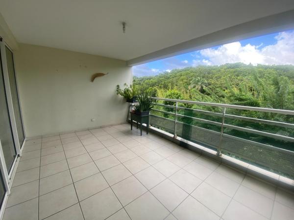 BALATA : Appartement T2 rénové avec grande terrasse et vue dégagée