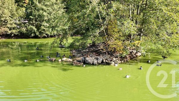 Maison à vendre  5 pièces - 175 m2 BALAISEAUX - 39