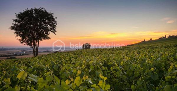 Terrain agricole de 16 310 m²