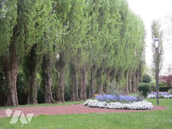 MARCQ  Buisson  Apt F2