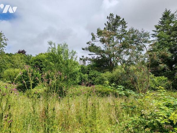 SUPERBE PROPRIETE EN PIERRE DE TAILLE DE 174M² SUR TERRAIN DE 7800M²