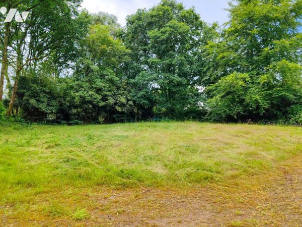 SUPERBE PROPRIETE EN PIERRE DE TAILLE DE 174M² SUR TERRAIN DE 7800M²