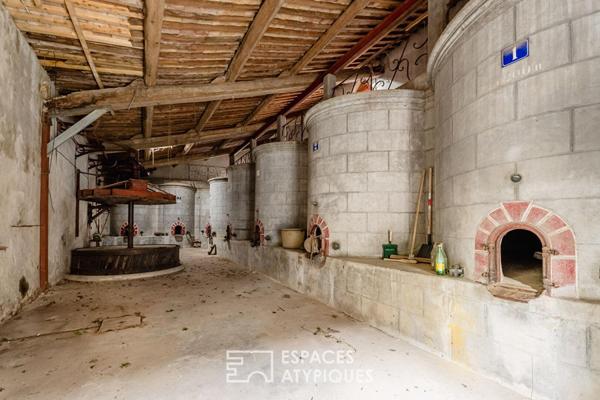 L’âme d’une ancienne remise viticole : un potentiel de réhabilitation unique aux portes de Narbonne