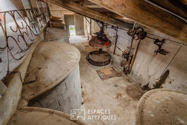 L’âme d’une ancienne remise viticole : un potentiel de réhabilitation unique aux portes de Narbonne