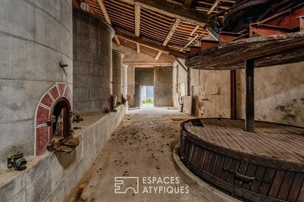 L’âme d’une ancienne remise viticole : un potentiel de réhabilitation unique aux portes de Narbonne