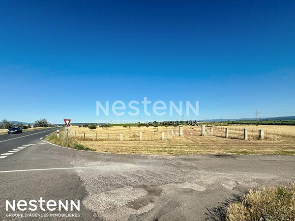 Magnifique terrain plat de 24 076 m² avec cabanon de stockage