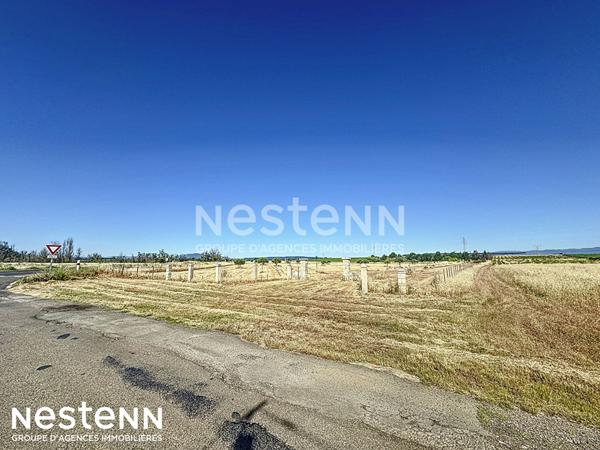 Magnifique terrain plat de 24 076 m² avec cabanon de stockage