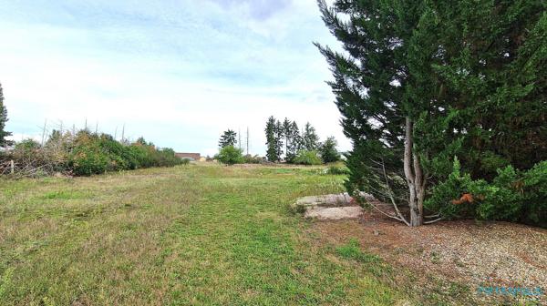 Chalon sur Saône : belle longère et son remarquable jardin paysagé