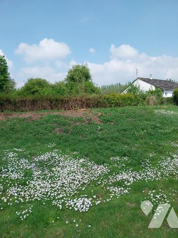 terrain a bâtir à BAJUS