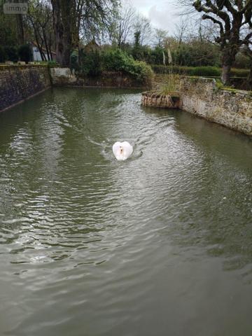 Château à vendre à Écommoy dans la Sarthe (72220), ref : 023/2115