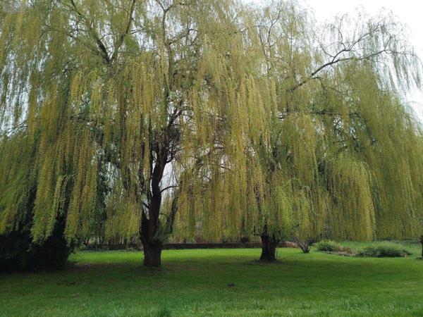 Château à vendre à Écommoy dans la Sarthe (72220), ref : 023/2115