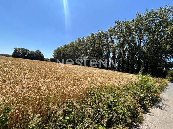 Batiment brique - + de 300m² au sol - 4000m² terrain - fort potentiel - calme - impasse - Le Havre - Montivilliers - Paris - résidence secondaire - Proche mer - Saint valéris en caux