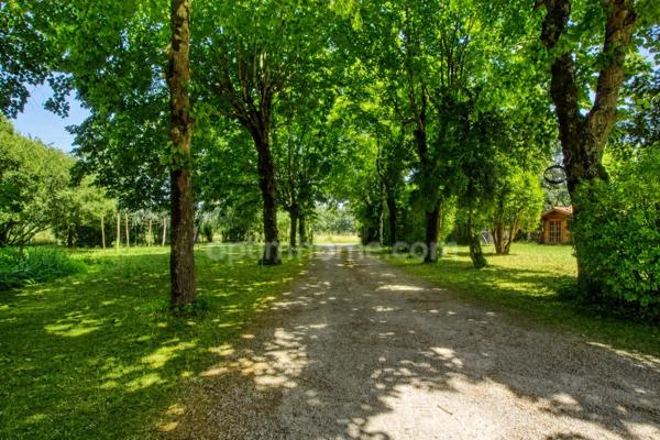 MURET-OX – PROPRIÉTÉ DE CARACTÈRE DES ANNÉES 30 – 230 m² – PARC ARBORÉ DE 4 707 m² – DÉPENDANCES – CADRE CHAMPÊTRE EXCEPTIONNEL